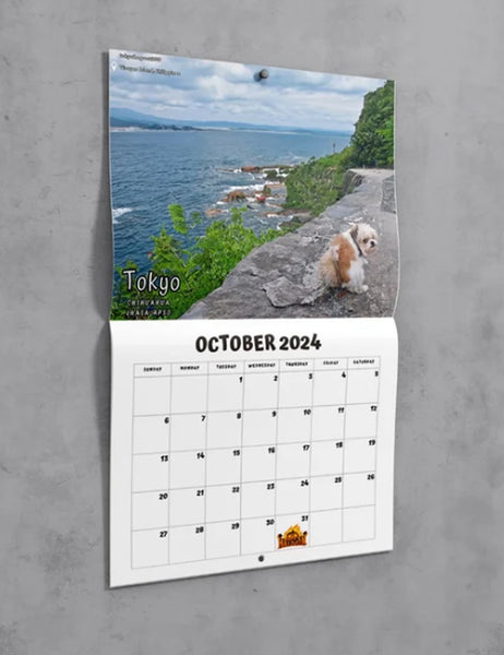 Dog Funny 2024 Calendar