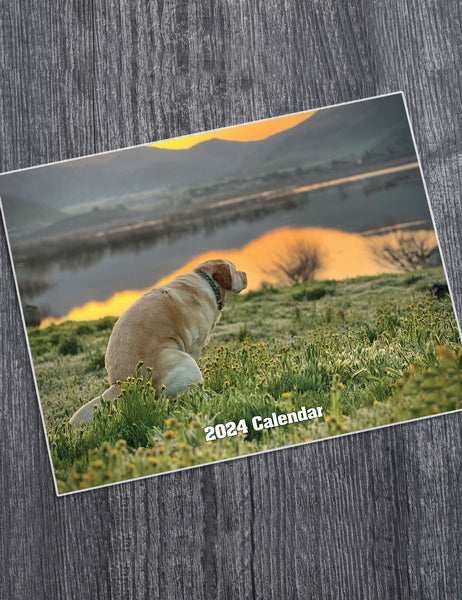 Dog Funny 2024 Calendar